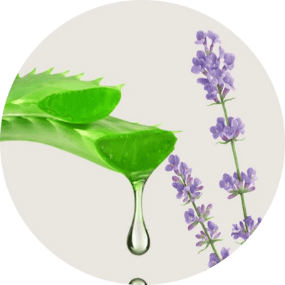 Aloe Vera & Lavender Oil